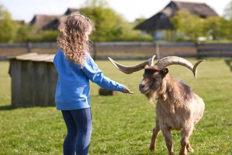Holiday Resort Van Der Valk, Linstow Dobbin-Linstow エクステリア 写真